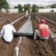 Desarrollo agrícola en Nicaragua