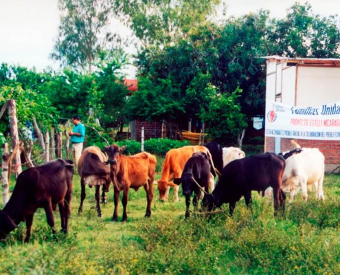 Finca agroecológica en Nicaragua