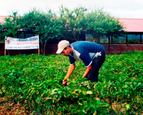 Finca agroecológica en Nicaragua