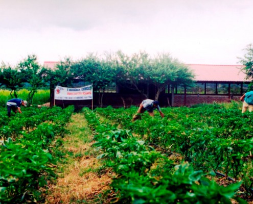 Finca agroecológica en Nicaragua