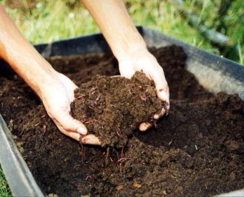 Finca agroecológica en Nicaragua