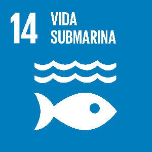 Vida submarina